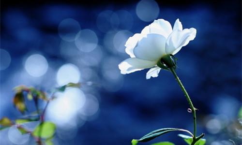 Ӱ˵ļ󳣼أ