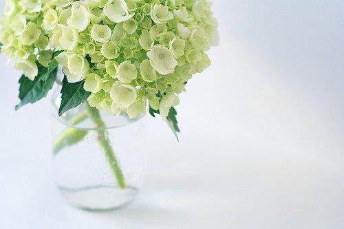 ںorںӰ壿