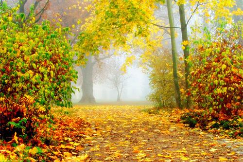 ŶݼԤ⣺ɹﶨӦڵķ