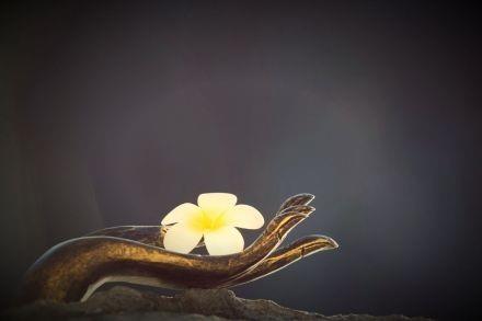 Ŷݼת֪ʶǸ