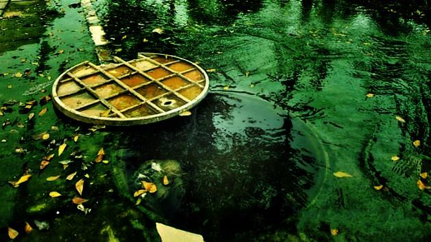 ŶݼŵӦö⣡й׾߻оԺ