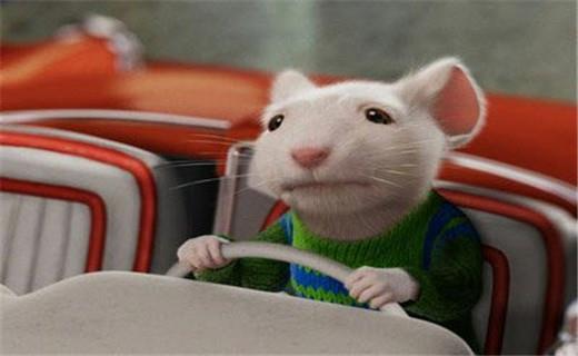 Фơ2016.10.31-11.6й׾߻оԺ