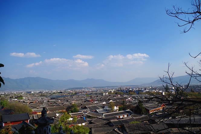 ���Ŷݼ׷ǳ��㷺��Ԥ�⹦�ܣ�