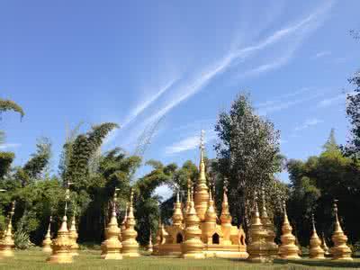 ���Ŷݼ������Ź���������