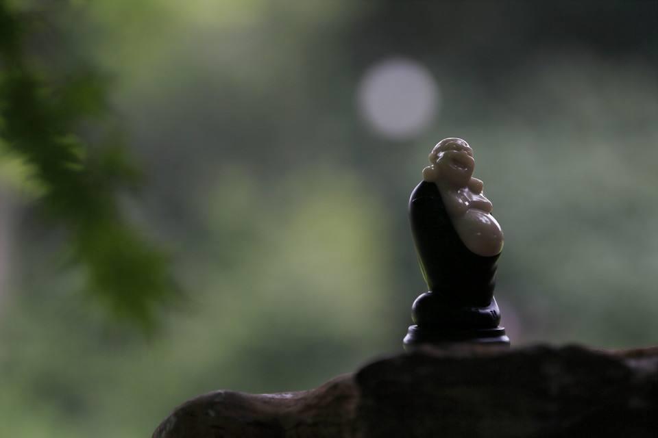 ���Ŷݼ� | �������ŵ����ã�