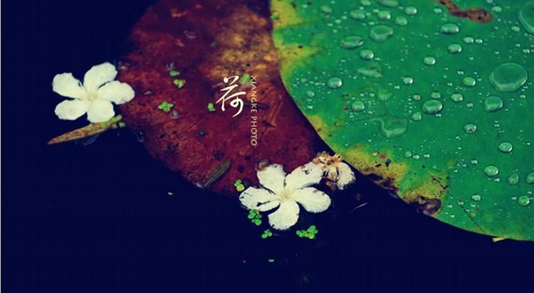Ŷݼ | ԤʲôǷʲôǷ