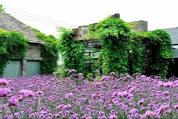 Ŷݼԣϵİַ