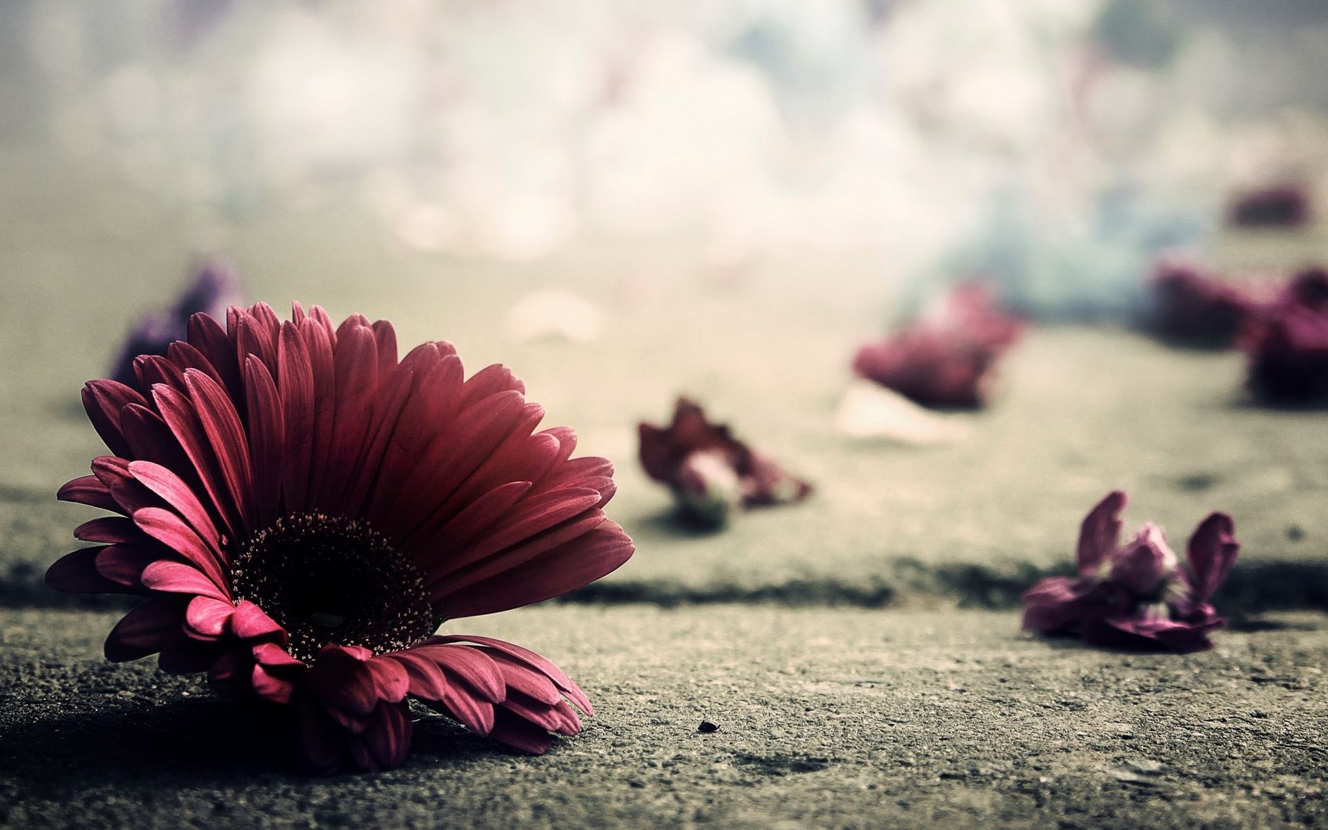 ��ѧ���� | ��ЩŮ�������ʺ����飿