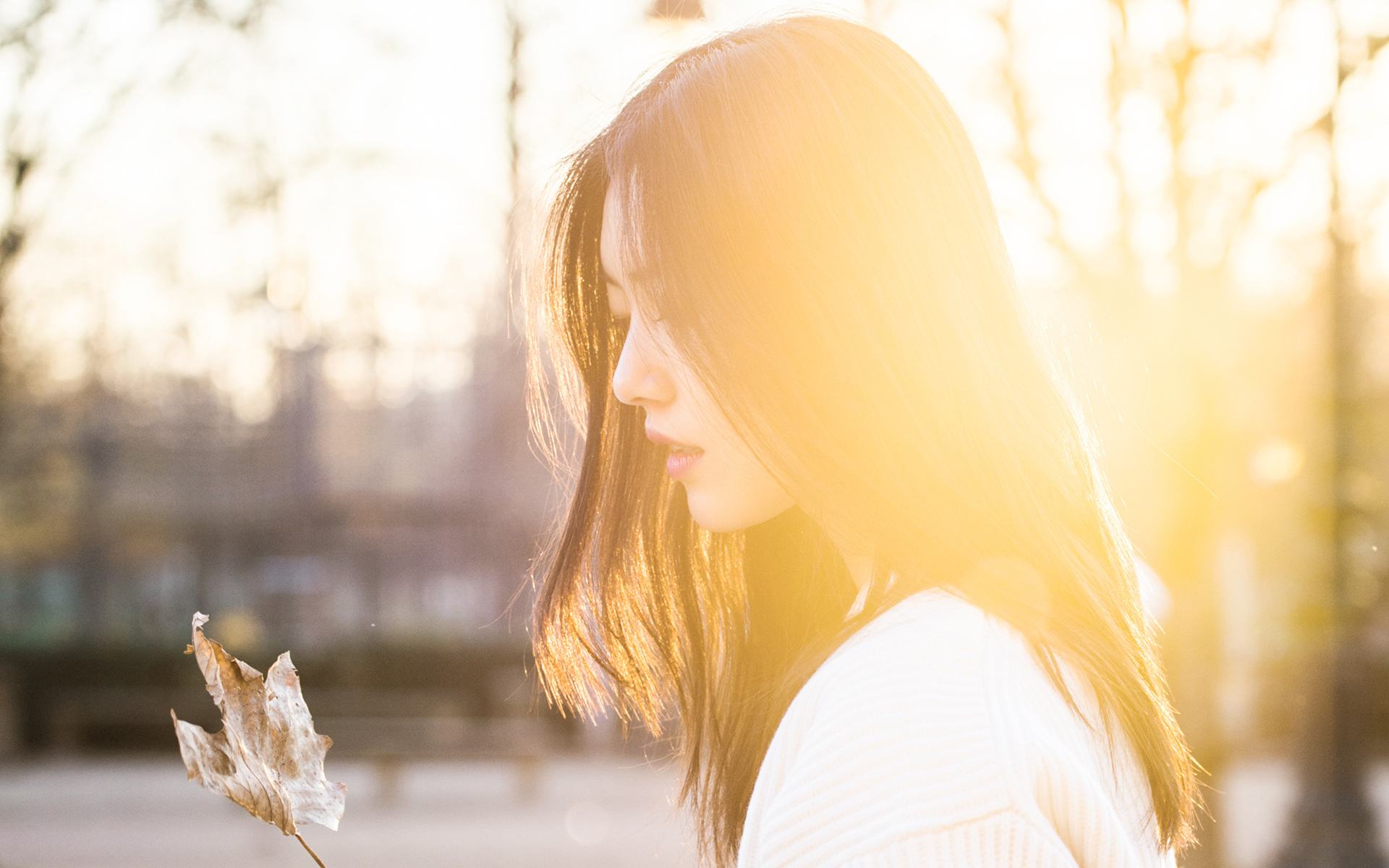 ���Ŷݼ� | �����̡̳��������⡿����