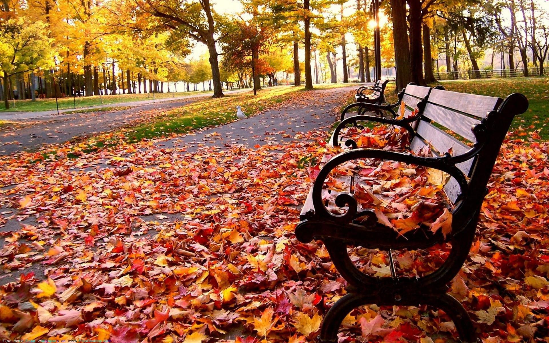 ���Ŷݼ� | ʮ���������������빬Ӧ��