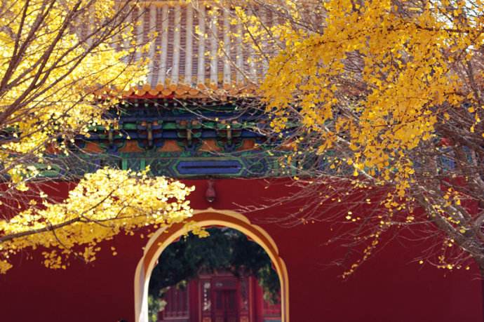 ���Ŷݼ� | רҵ��ѧ֮���м���