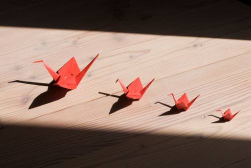 ���Ŷݼ��۶Ϸ�ˮ�ľ�����������