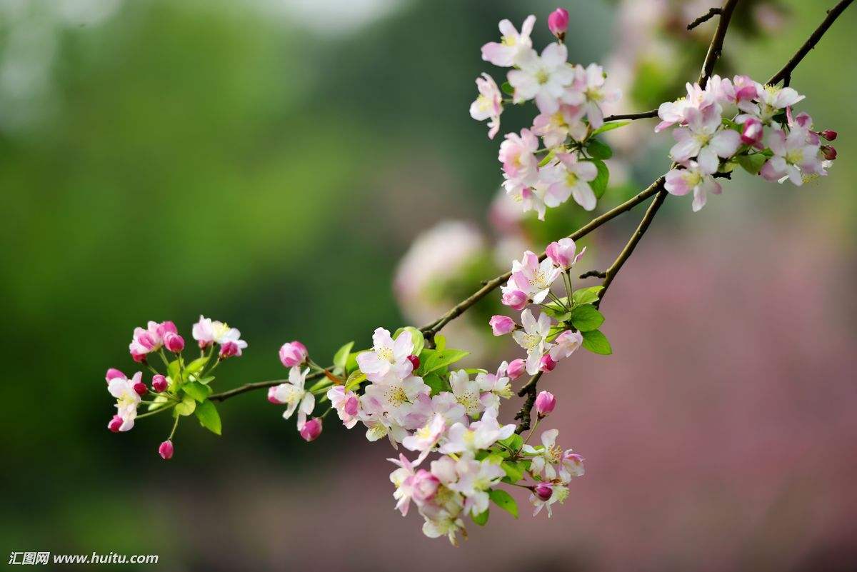 ���Ŷݼ����ȡ����Ӧ�ڶϷ�