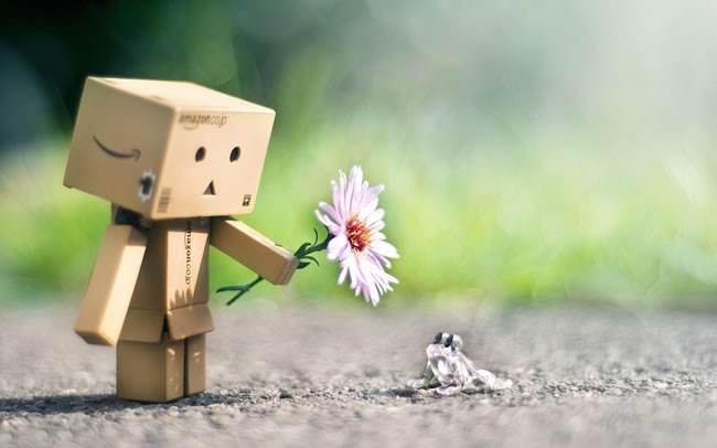 ����������2018���ּ�����֮����������