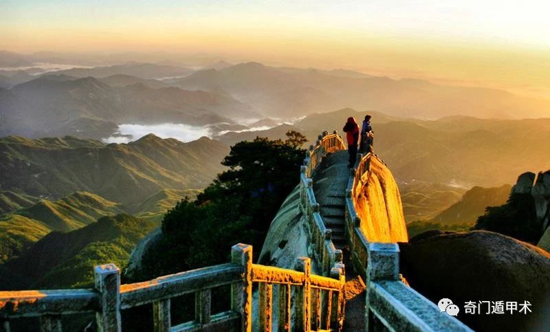 ���Ŷݼ�Ԥ�������������������ϸ��