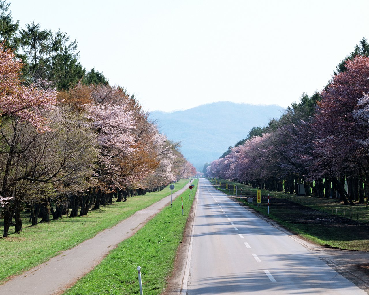 ���Ŷݼ�Ԥ�⣺ѧϰ���ŵ���Ԥ�⼲��������˥������