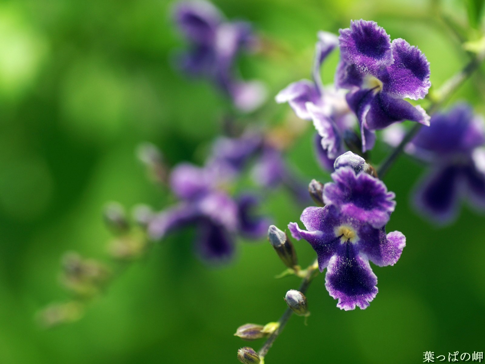 ���Ŷݼ�Ԥ�⹬�������ˮ����ʹ�÷���