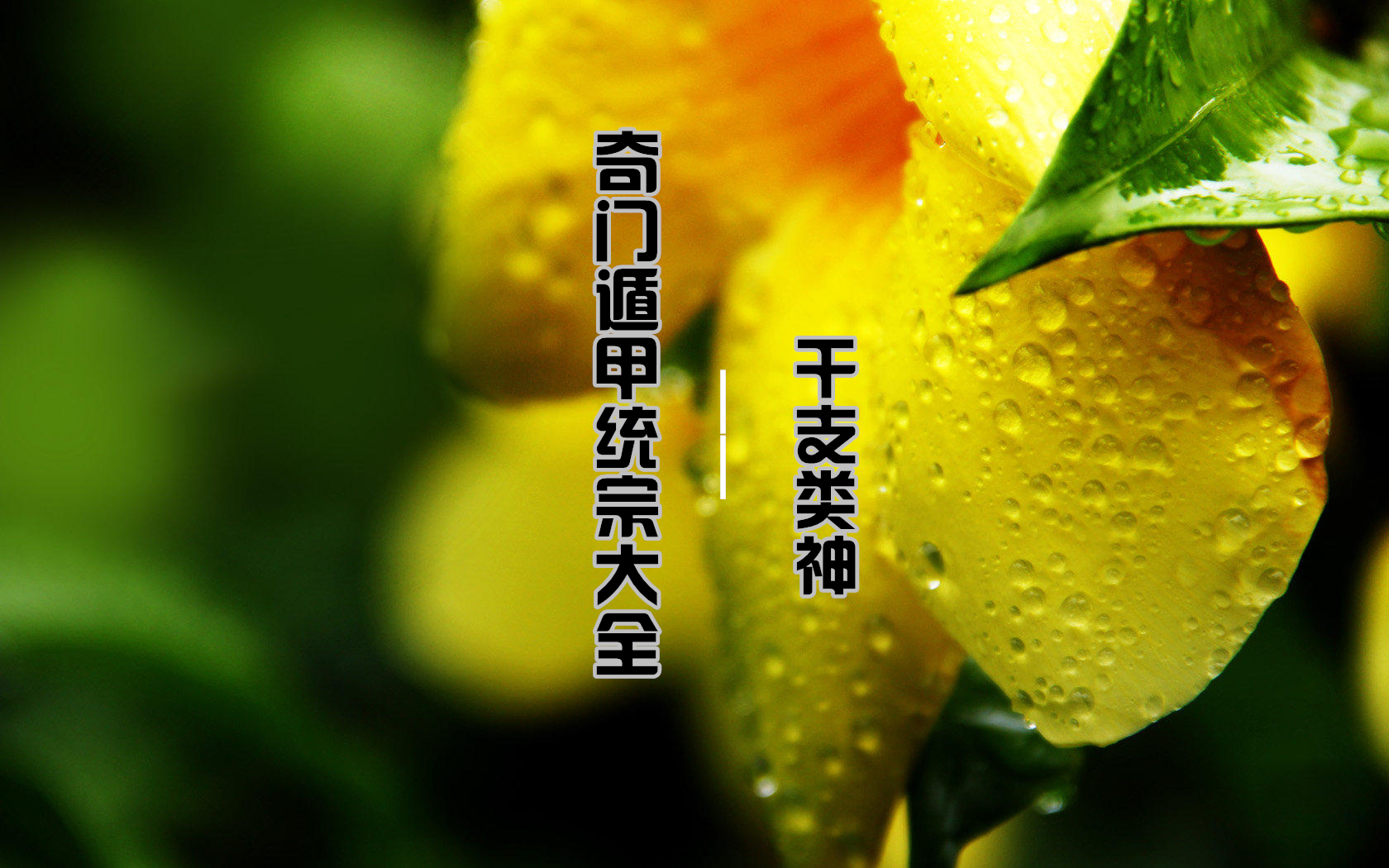 ���Ŷݼ�ͳ�ڴ�ȫ | ��֧����