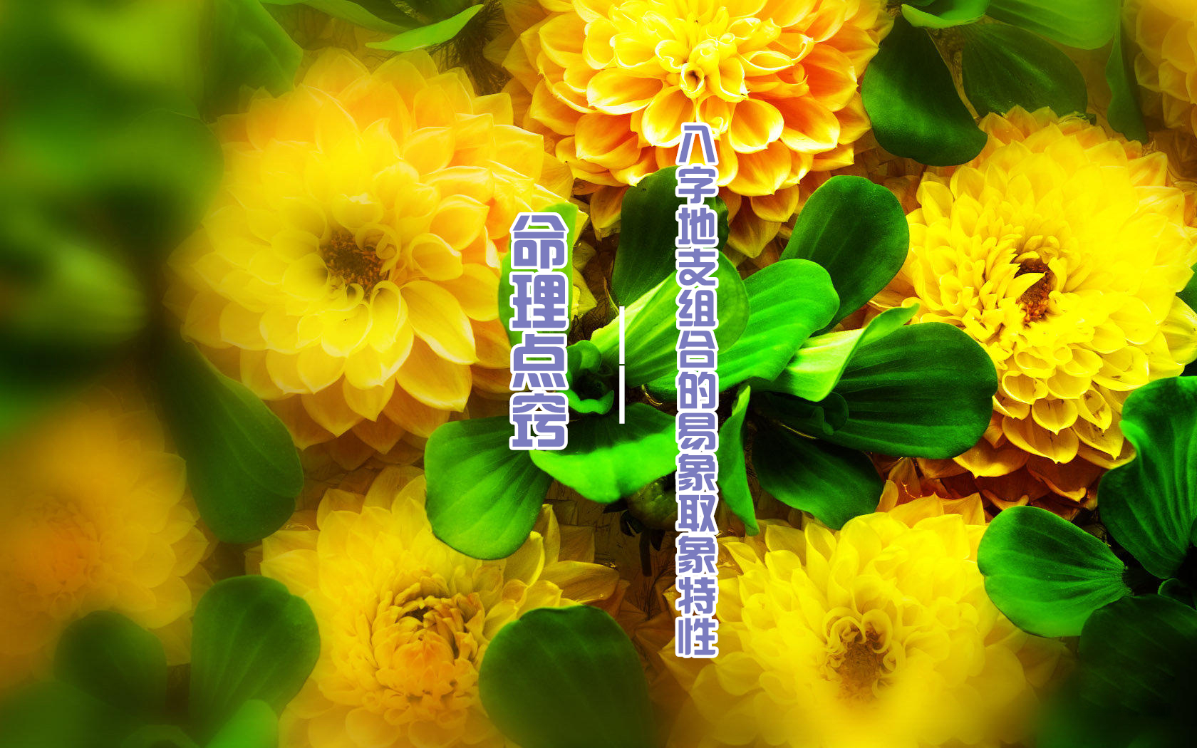 ϣֵ֧ϵȡԣ