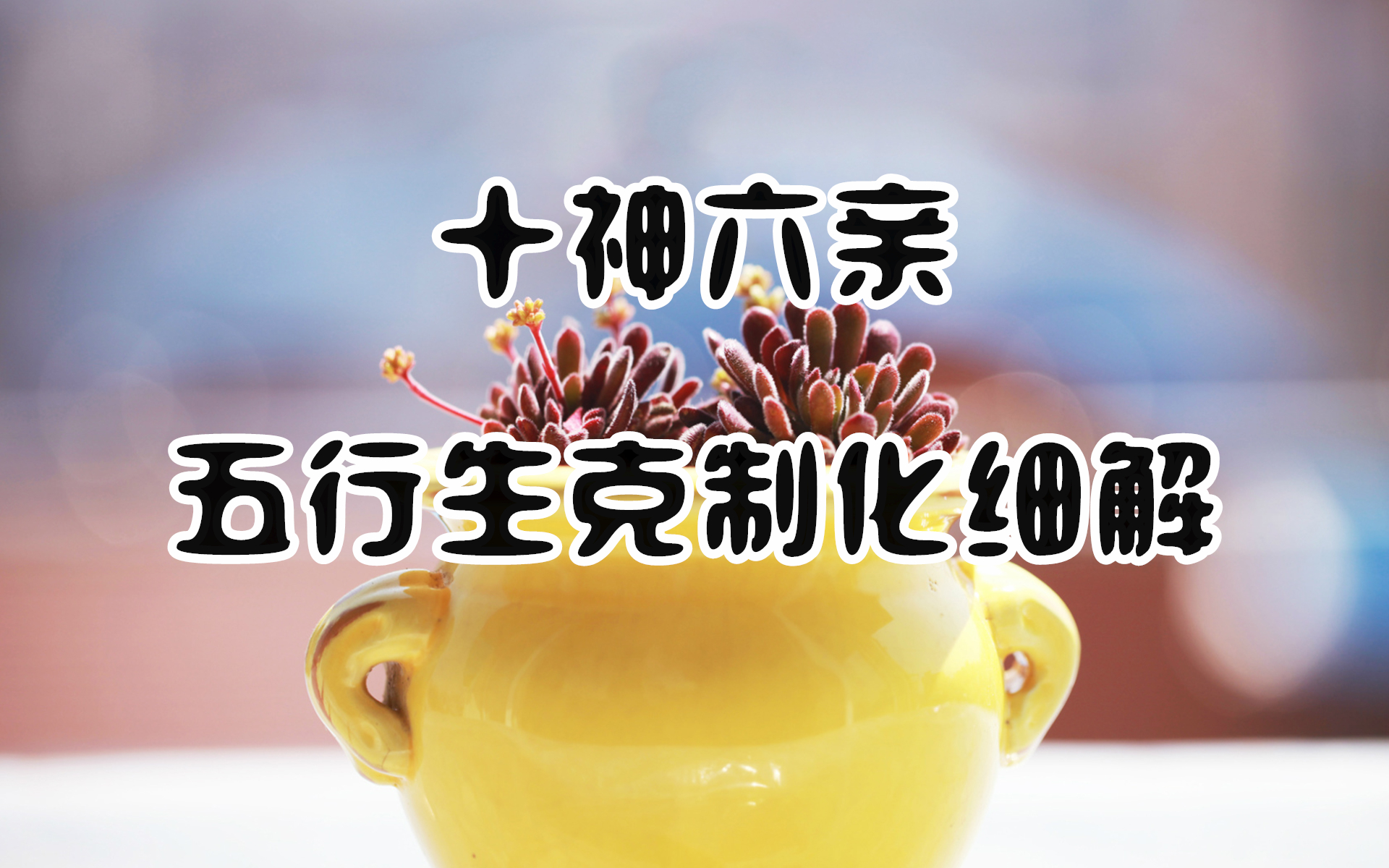 ���Ŷݼ�Ԥ�⣺ʮ���������������ƻ�ϸ�⣡