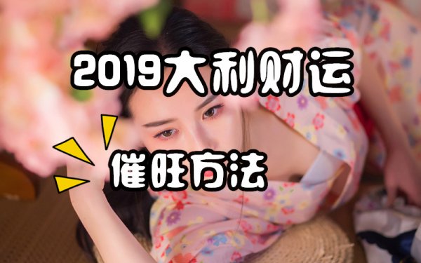 2019˵λ