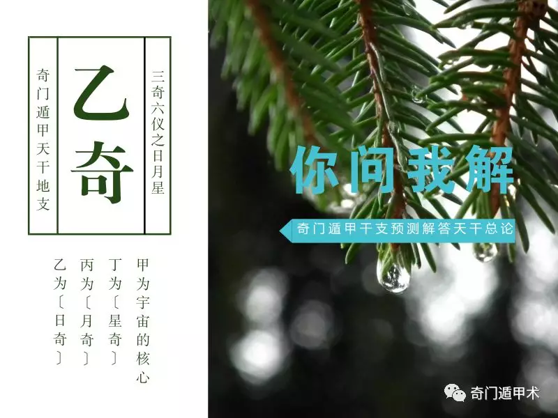 ���Ŷݼ� | ��֧����֮�������������⣨����ƪ��