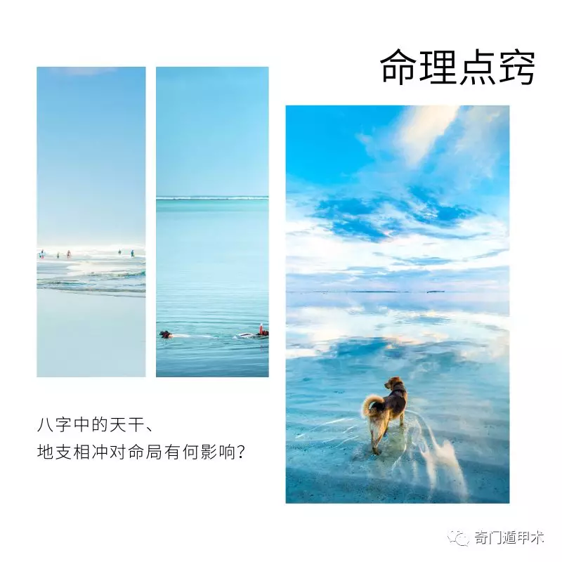 ϣеɡ֧кӰ죿