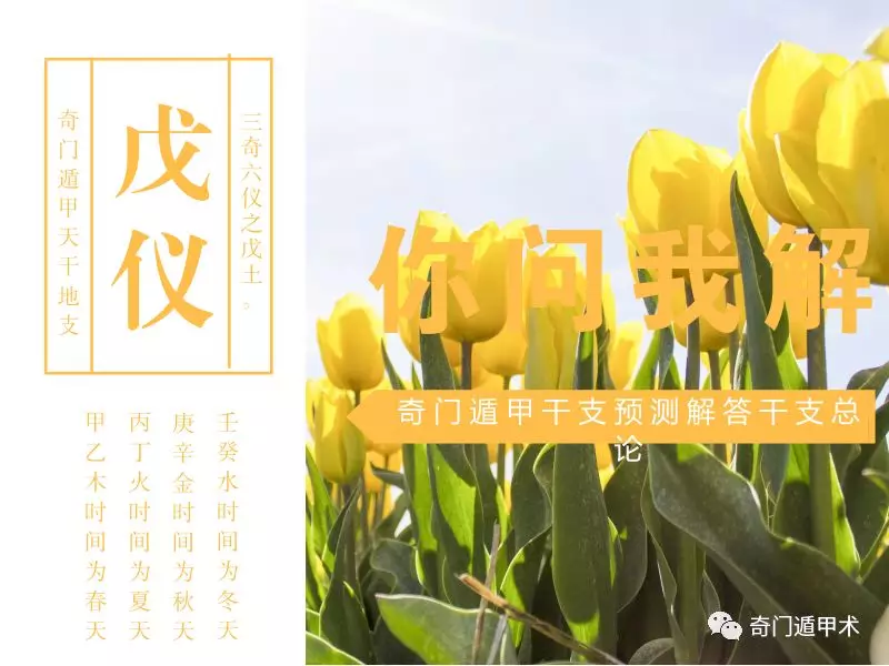 ���Ŷݼ� | ��֧����֮�������������⣨����ƪ��