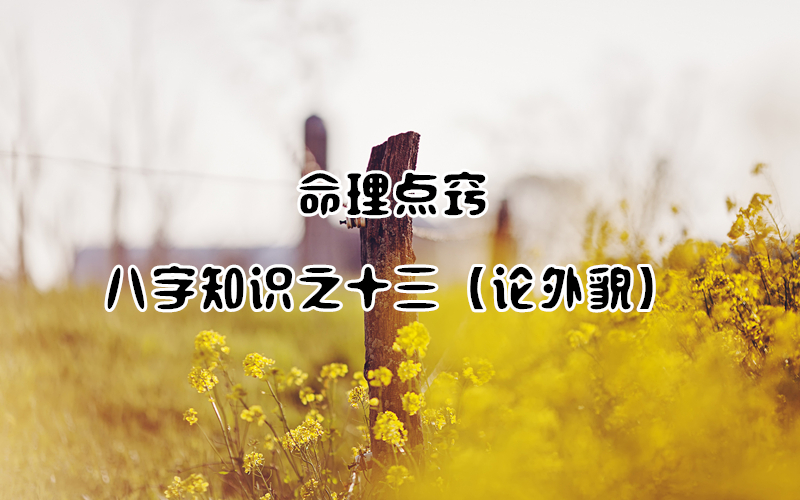 �������ϣ�����֪ʶ֮ʮ��������ò��