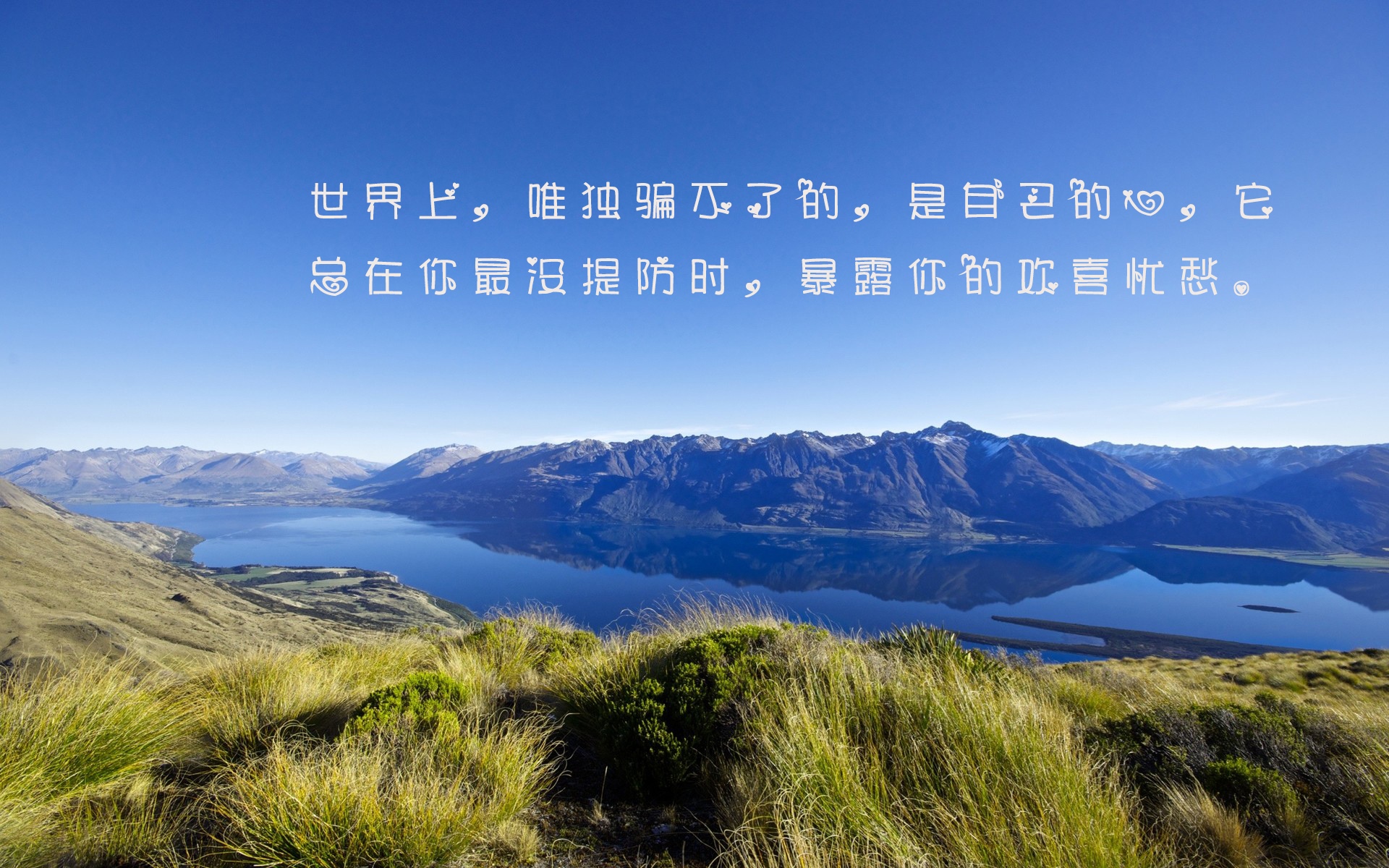 ���Ŷݼף��������������Ŷݼ׵�����