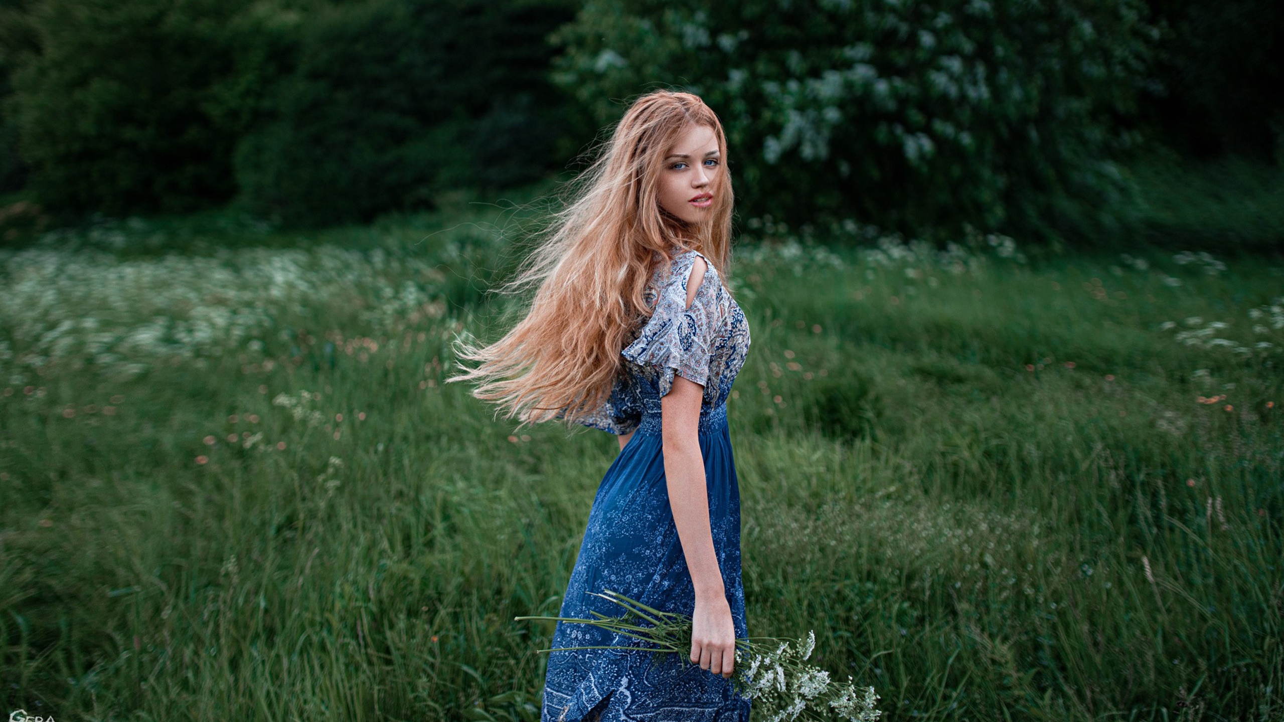 ���Ŷݼ� | �����������˥������Ԥ��ʱ����Ҫ���ã�