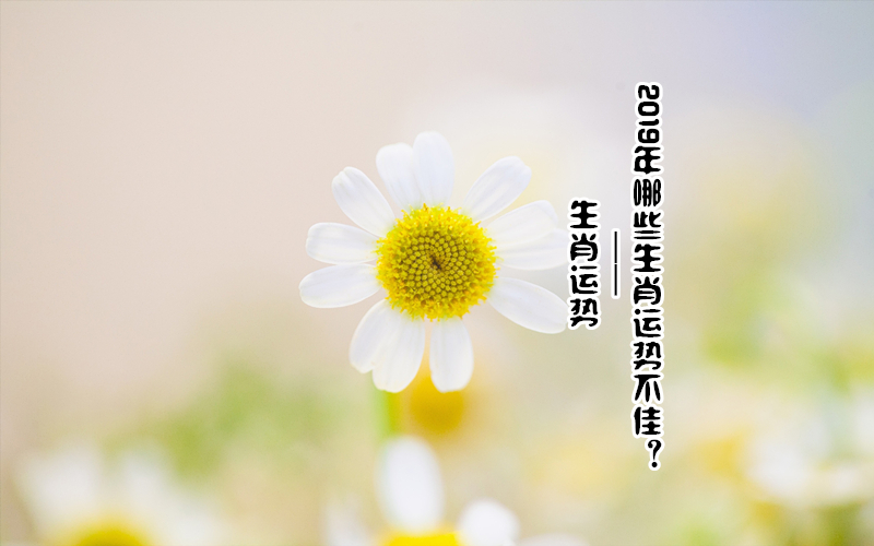 Ф | 2019ЩФƲѣ