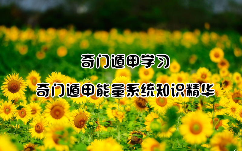 ���Ŷݼ��� | ѧϰ���Ŷݼ�����ϵͳ֪ʶ����