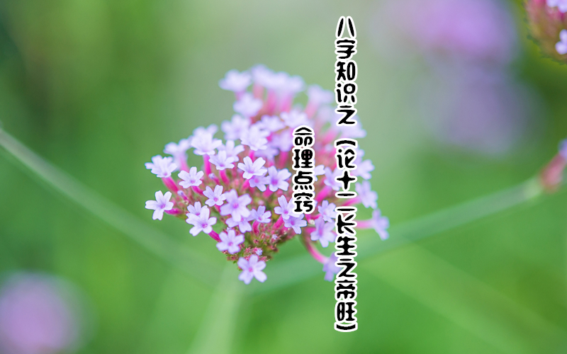 ϣ֪ʶ֮ʮʮ֮