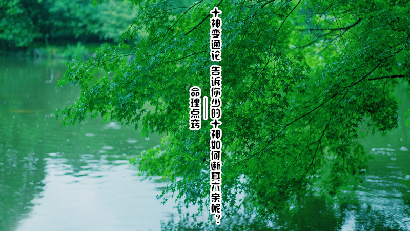 ϣʮͨ ٵʮζأ