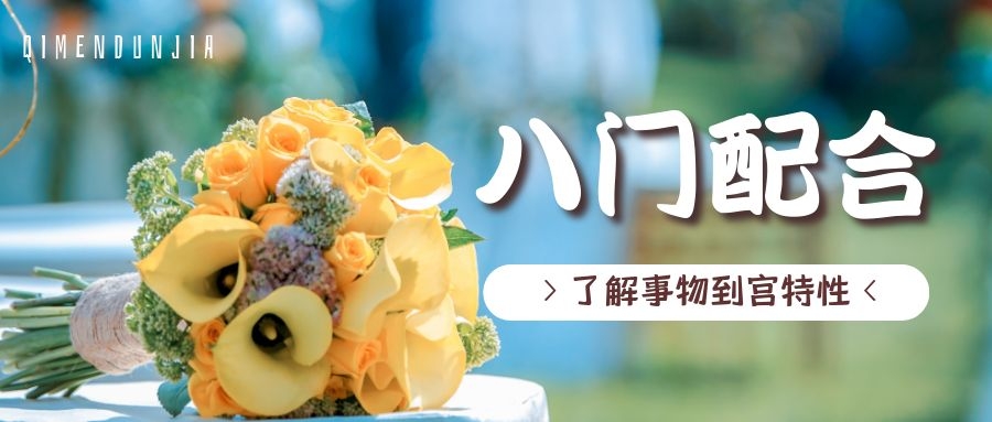 �������Ŷݼ���ѵ | ���Ŷݼ�ȡ��ǳ̸���˽�������ش�������