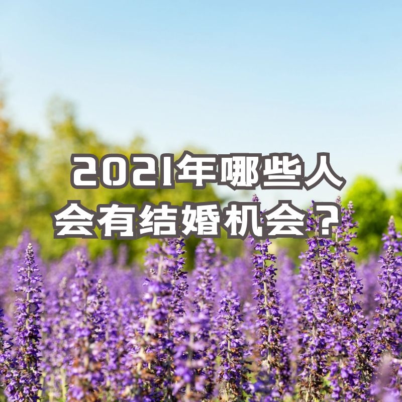 ѧ | 2021Щ˻н᣿