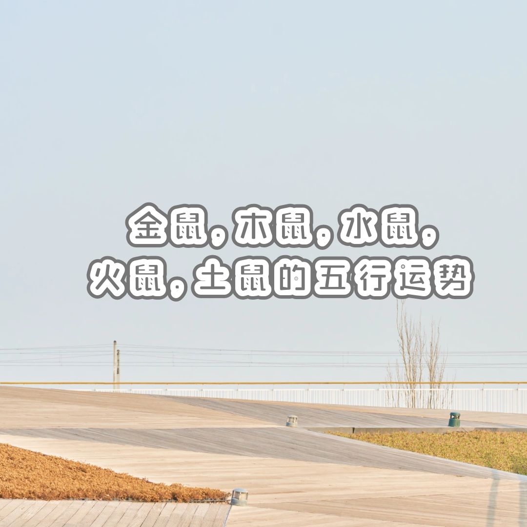 ʮФ | ľˮ󣬻