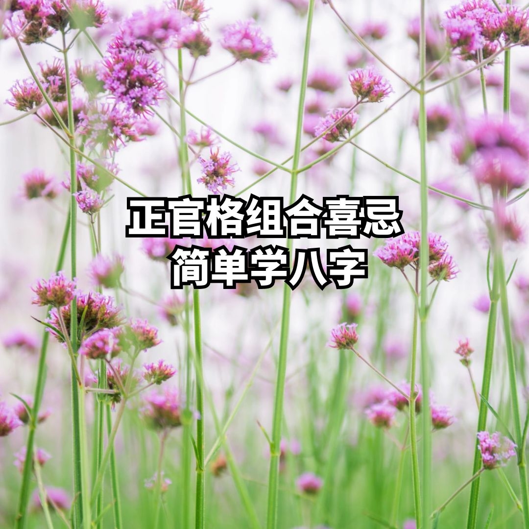 ѧ | ٸϲɡб׼