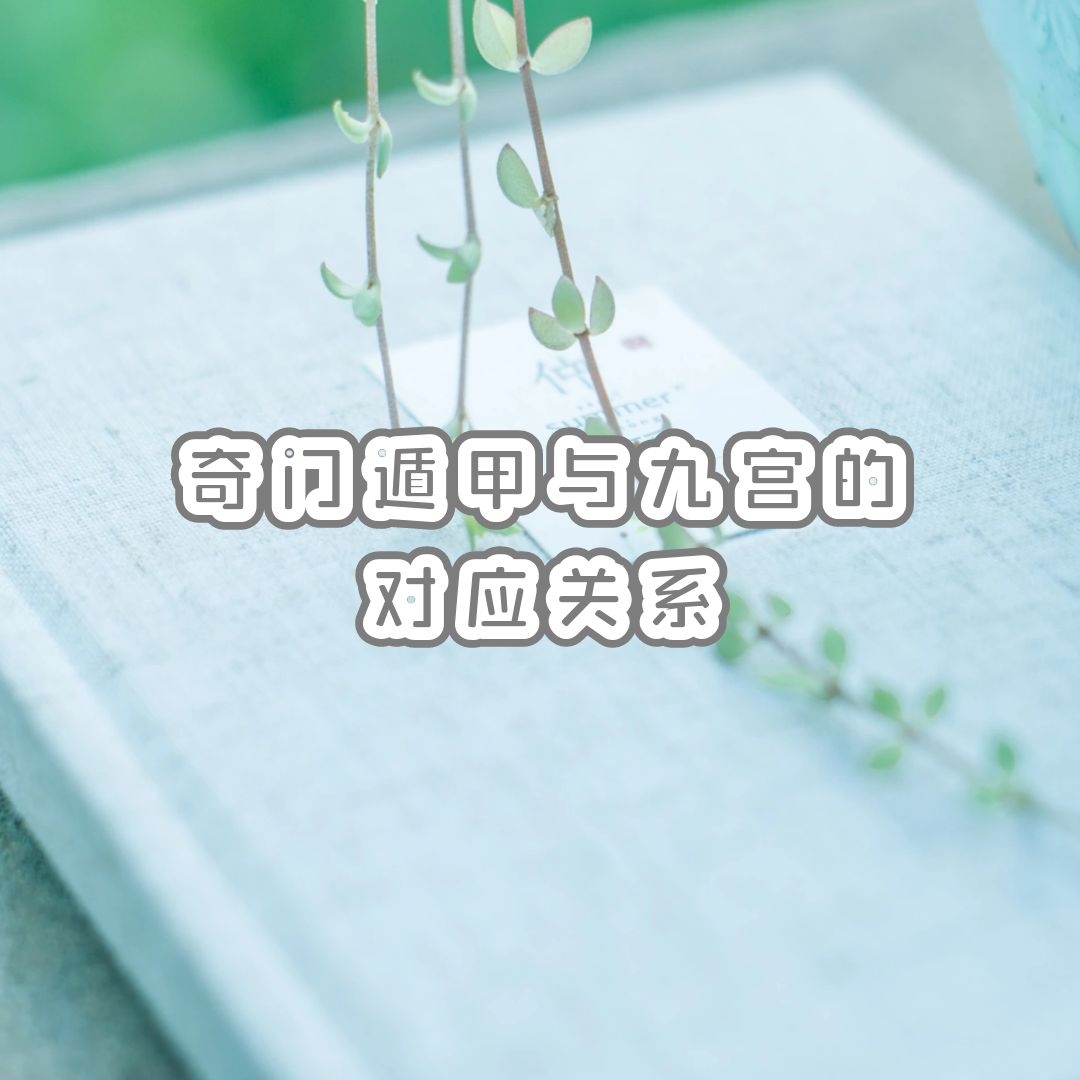 ���Ŷݼ���Ź��Ķ�Ӧ��ϵ�������Ŷݼ׵���꣡