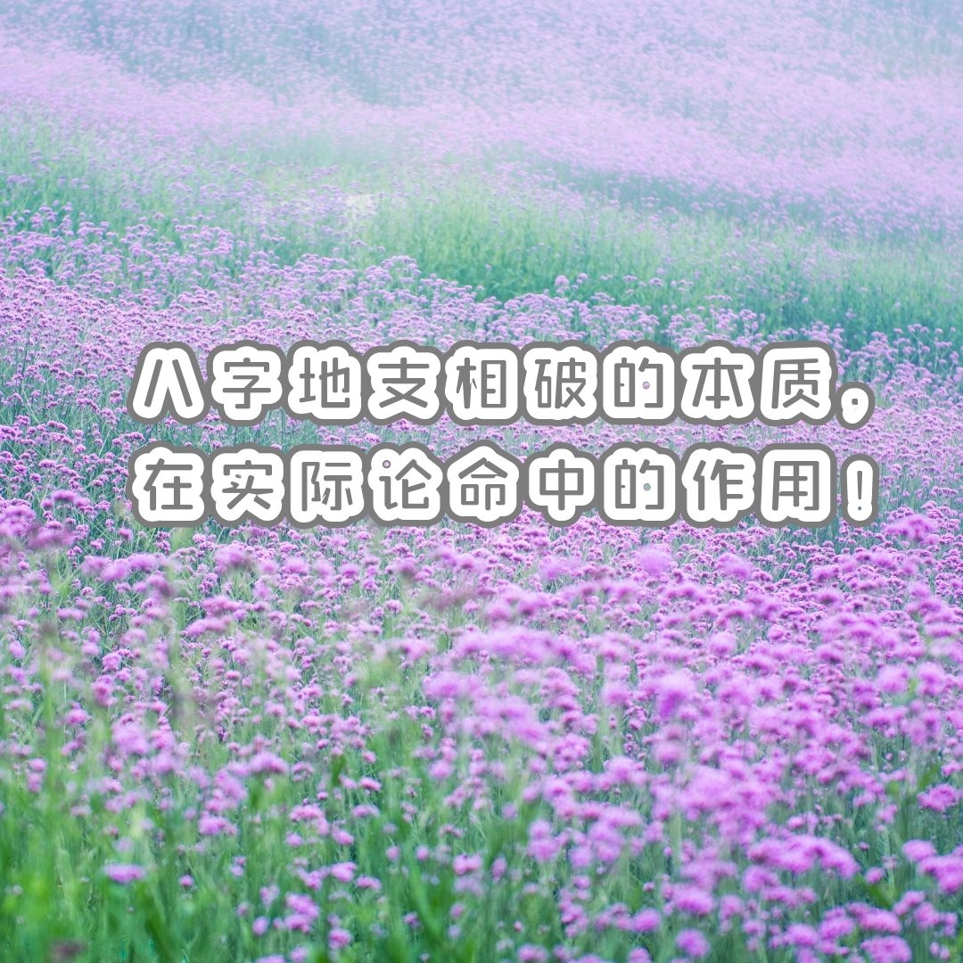 ѧ | ֵ֧Ƶıʣʵеã