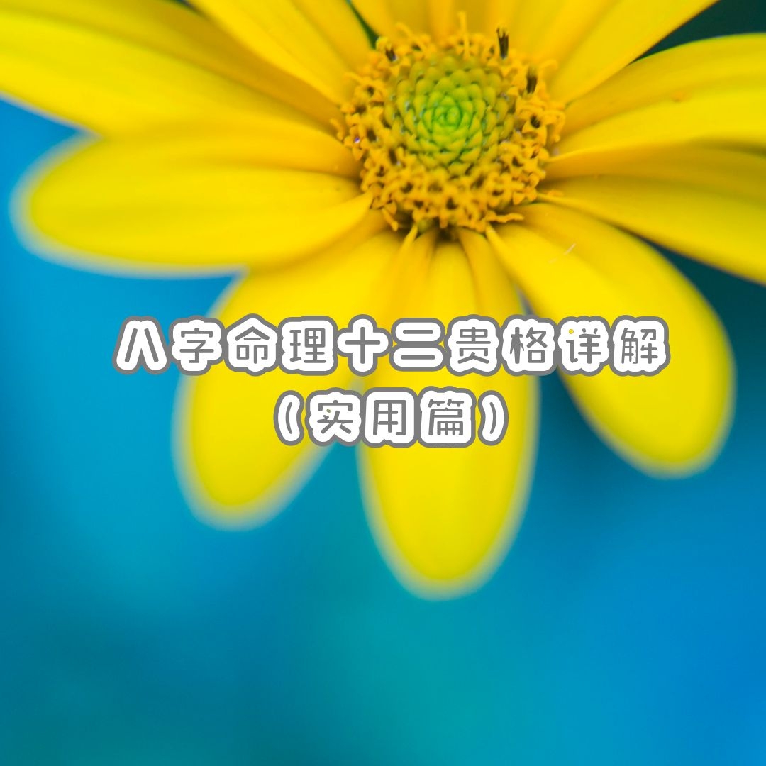 ѧ | ʮ⣨ʵƪ
