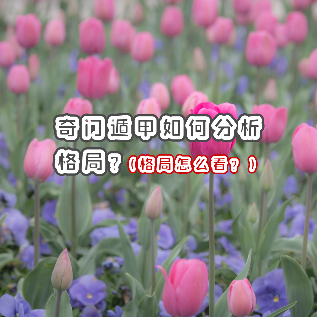 ���Ŷݼ�֪ʶ | ���Ŷݼ���η�����֣������ô����