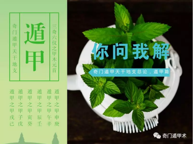 ���Ŷݼ�֪ʶ | ���Ŷݼ׸�֧���Ǹ�ֲ��֪ʶ�������棩