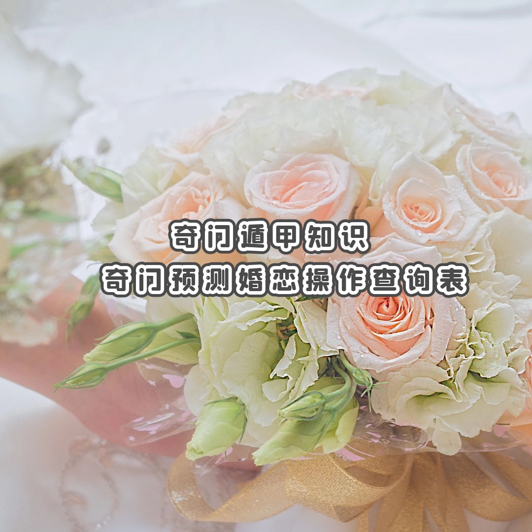 ���Ŷݼ�֪ʶ | ����Ԥ�����������ѯ��