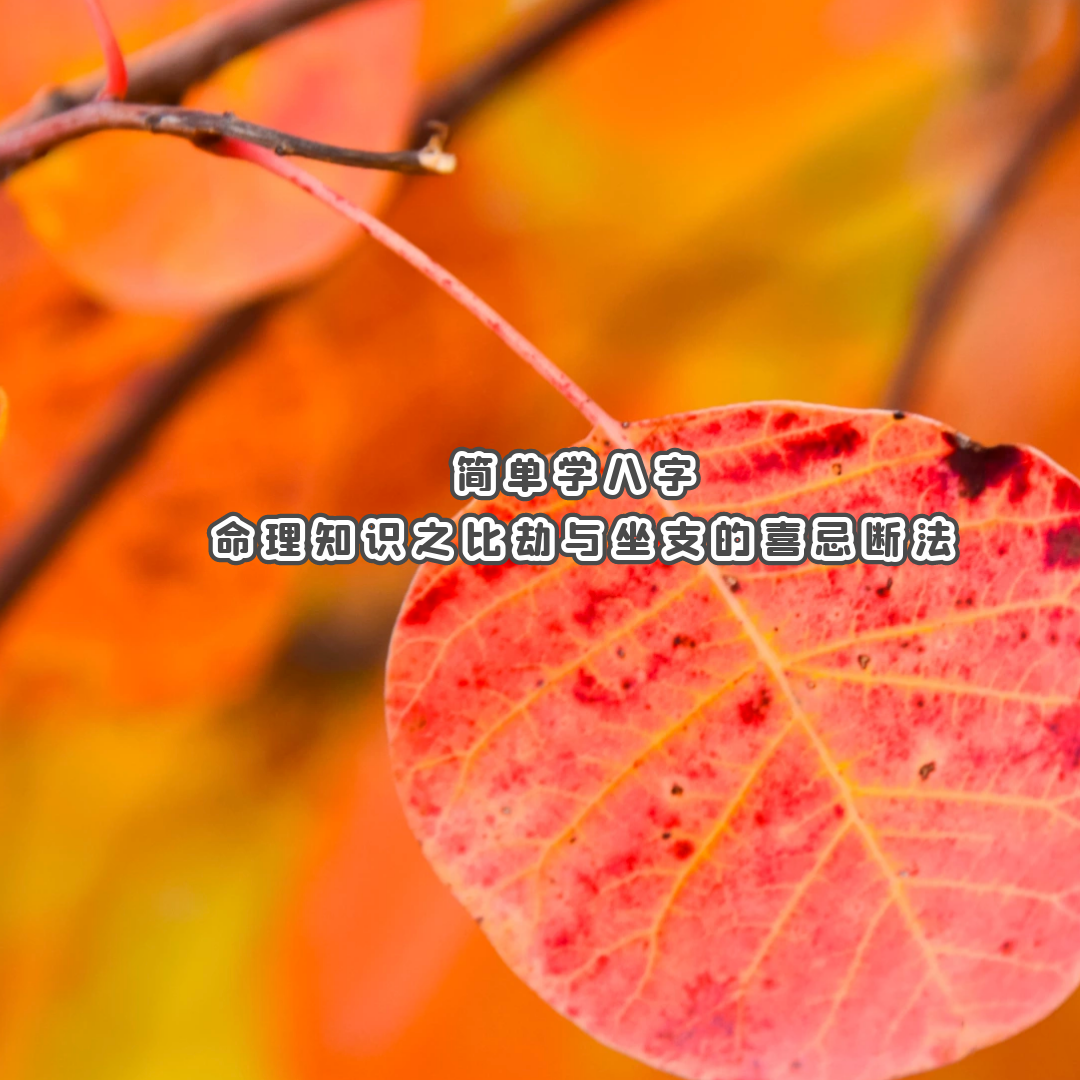 ѧ | ֪ʶ֮Ƚ֧ϲɶϷ