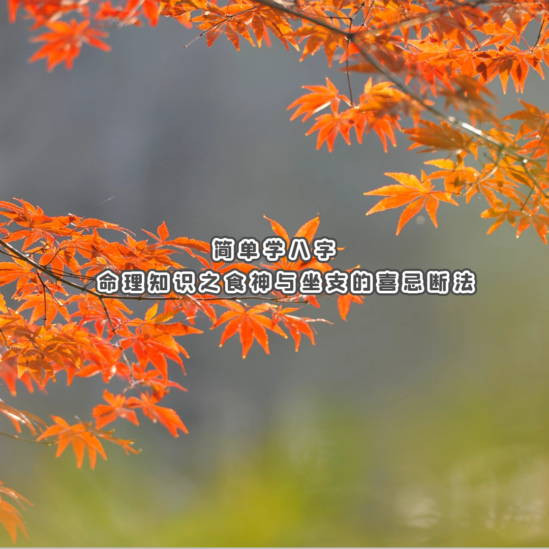 ѧ | ֪ʶ֮ʳ֧ϲɶϷ