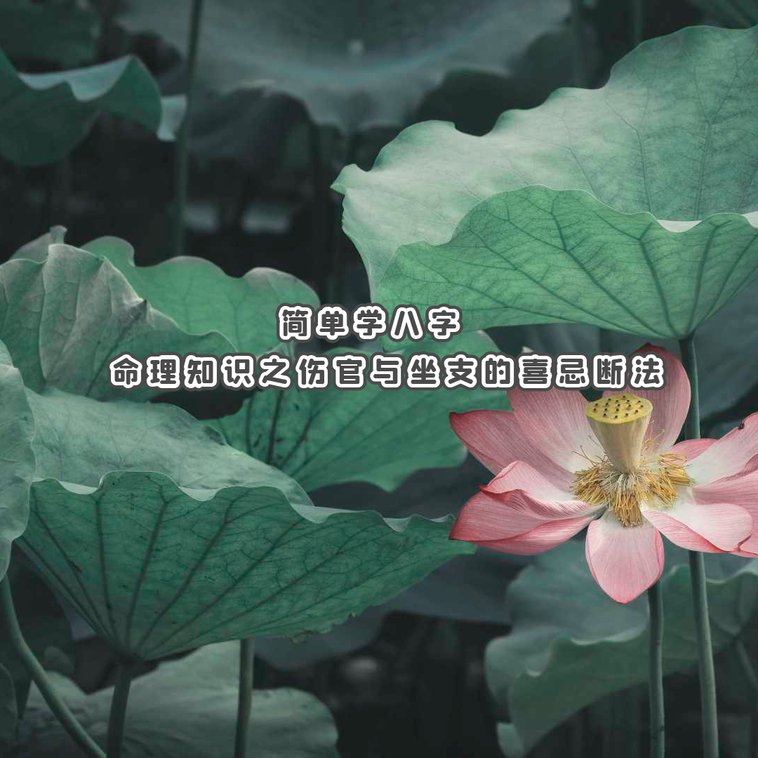 ѧ | ֪ʶ֮˹֧ϲɶϷ