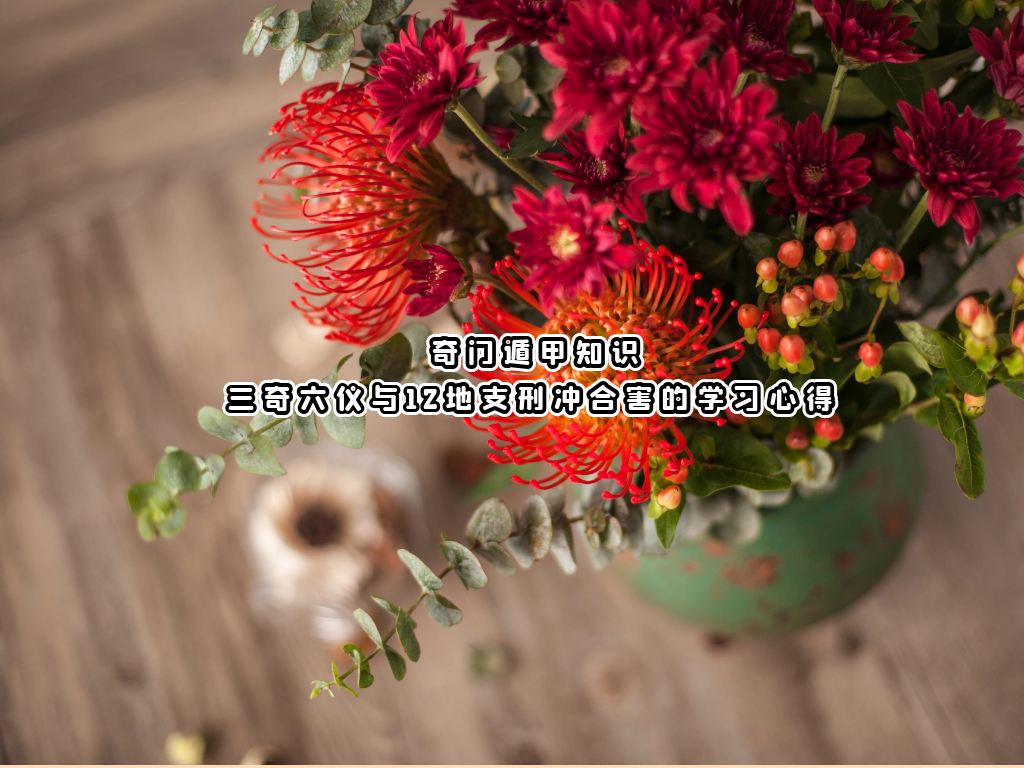 ���Ŷݼ�֪ʶ | ����������12��֧�̳�Ϻ���ѧϰ�ĵ�