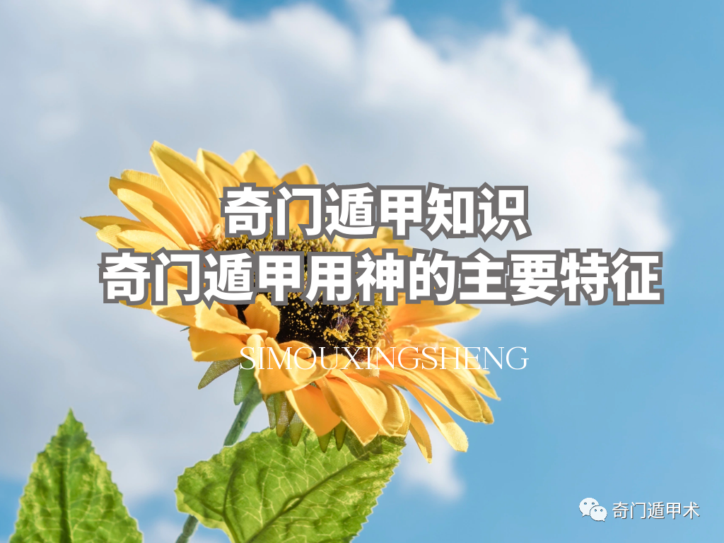 ���Ŷݼ�֪ʶ | ���Ŷݼ��������Ҫ����